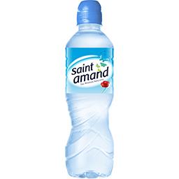 Saint Amand Eau minérale naturelle spéciale Sport la bouteille de 0,5 l