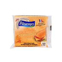 Queijo fatias para hamburger