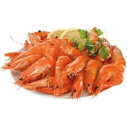 Camarão cozido 30/40